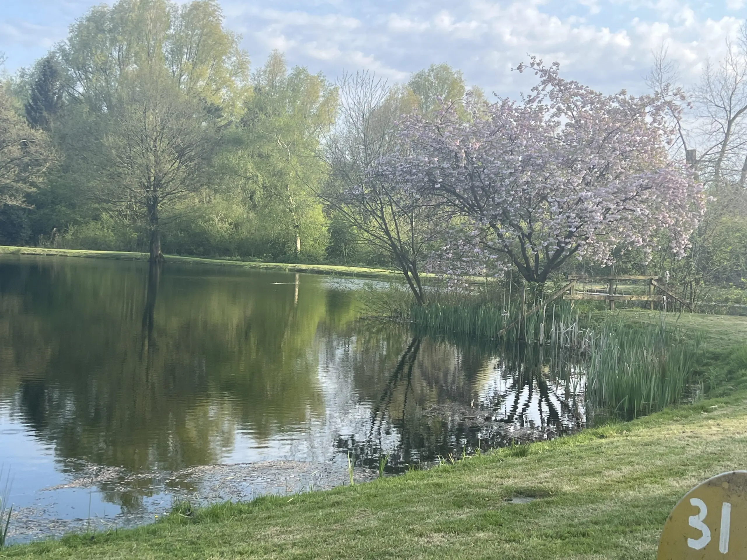 Fly fishing with instruction (half day)