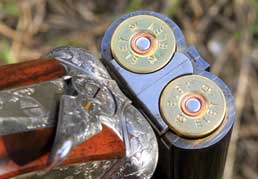 Gun Fitting Service